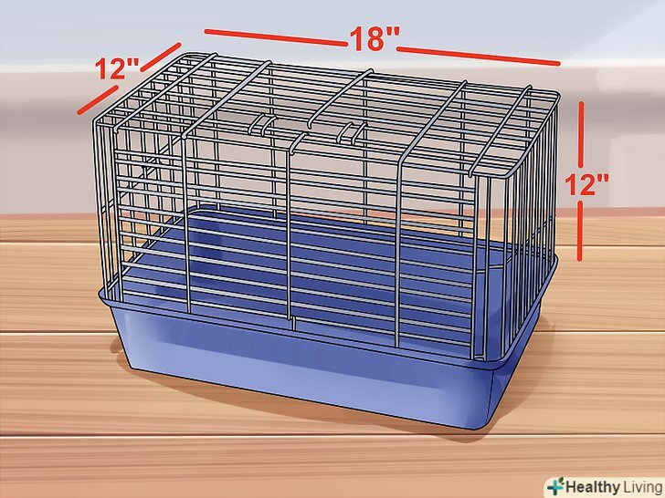 Як вибрати хорошу клітку для хом'яка: 10 кроків